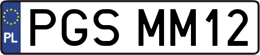 PGSMM12
