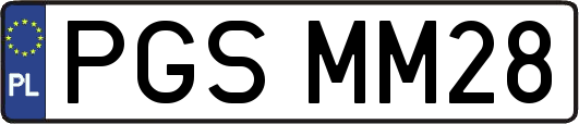 PGSMM28