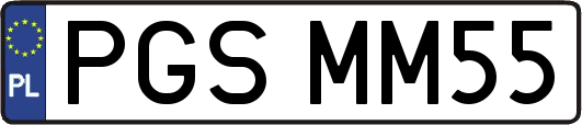 PGSMM55