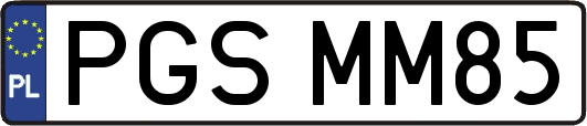 PGSMM85