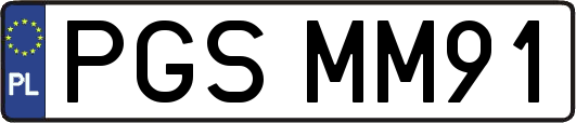 PGSMM91
