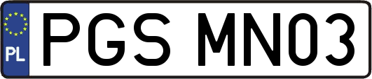 PGSMN03
