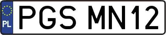 PGSMN12