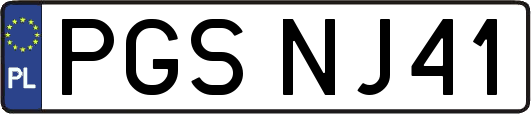 PGSNJ41