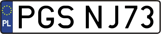 PGSNJ73