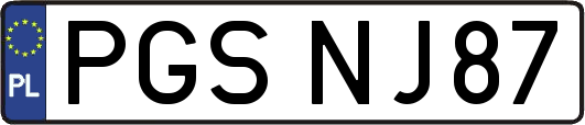 PGSNJ87