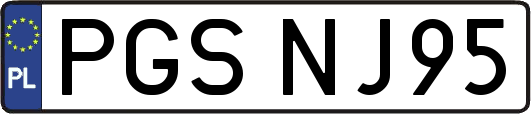 PGSNJ95