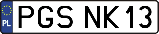 PGSNK13