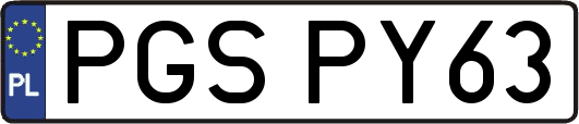 PGSPY63