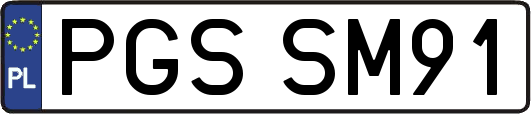 PGSSM91