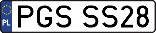 PGSSS28
