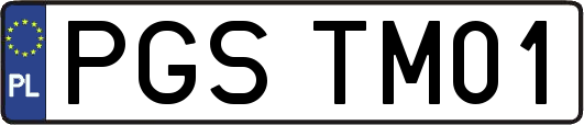 PGSTM01