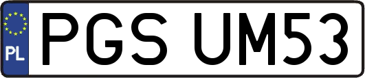 PGSUM53