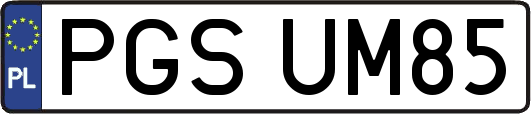 PGSUM85