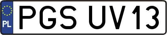 PGSUV13