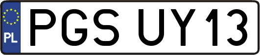 PGSUY13
