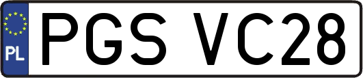 PGSVC28