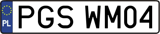 PGSWM04