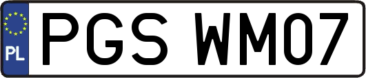 PGSWM07
