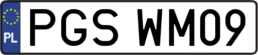 PGSWM09