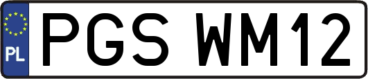 PGSWM12