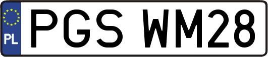 PGSWM28