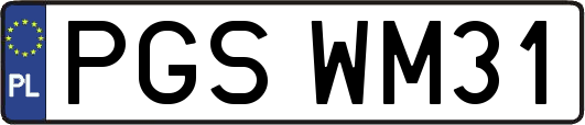 PGSWM31