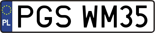 PGSWM35