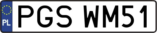 PGSWM51