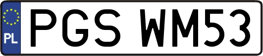 PGSWM53