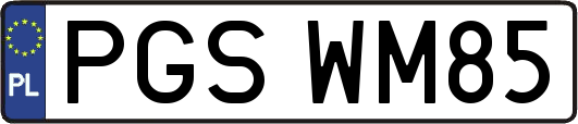 PGSWM85