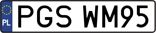 PGSWM95