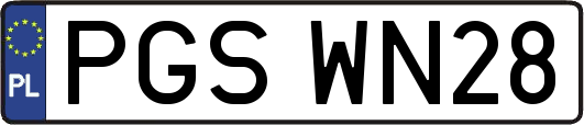 PGSWN28