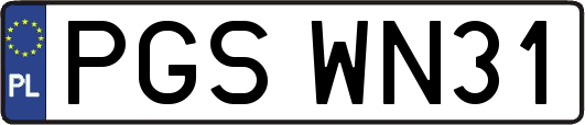 PGSWN31