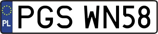 PGSWN58