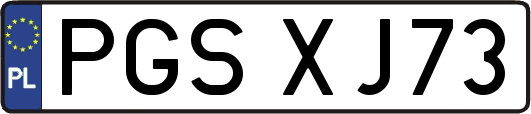 PGSXJ73