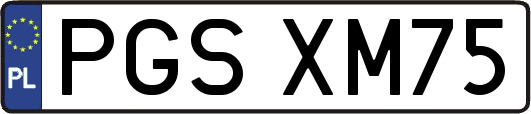PGSXM75