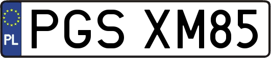 PGSXM85