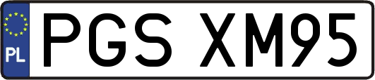 PGSXM95