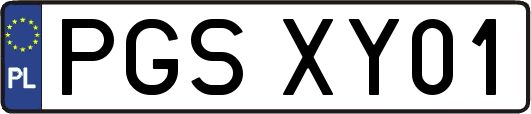 PGSXY01