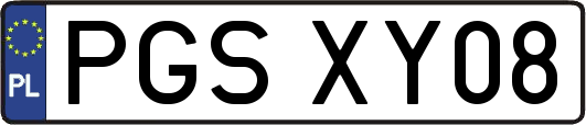 PGSXY08