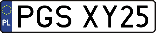 PGSXY25