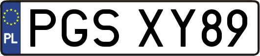 PGSXY89