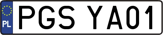 PGSYA01