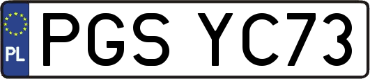 PGSYC73