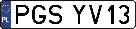 PGSYV13