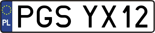 PGSYX12