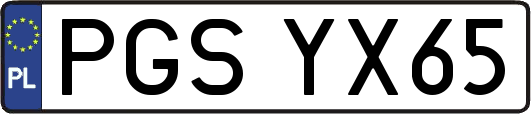PGSYX65