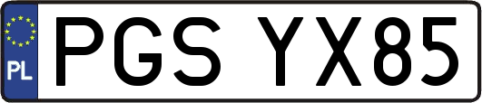 PGSYX85