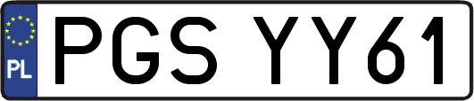 PGSYY61
